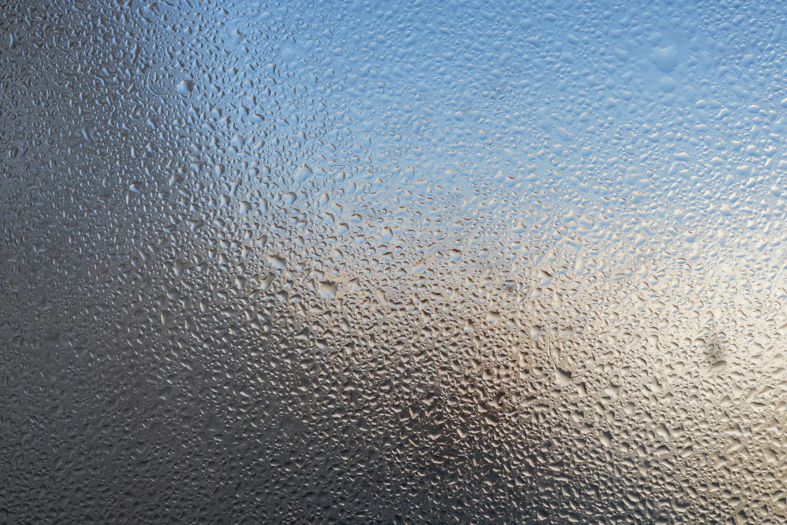 Condensation on a window